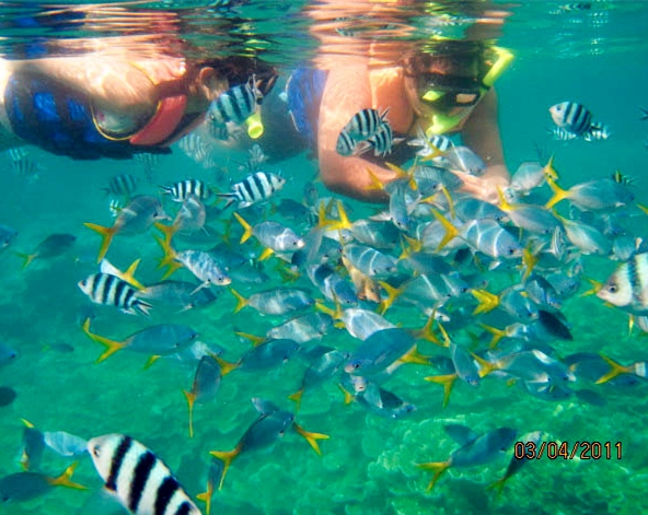 帛琉~全日自由活動 《建議可參加NEMO小丑魚的家自費活動》