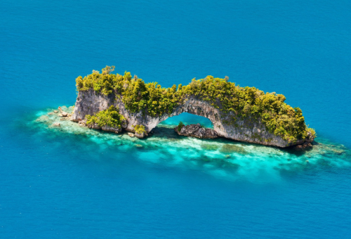 【璀璨帛琉五日】二次出海、洛克群島大斷層、水母湖 【璀璨帛琉五日】二次出海、洛克群島大斷層、水母湖